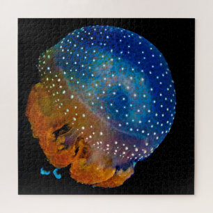 Jelly Fish Jigsaw Puzzle