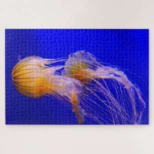 Jelly Fish Jigsaw Puzzle