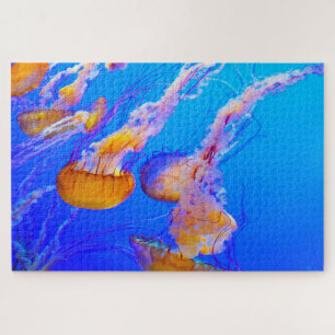 Jelly Fish Jigsaw Puzzle