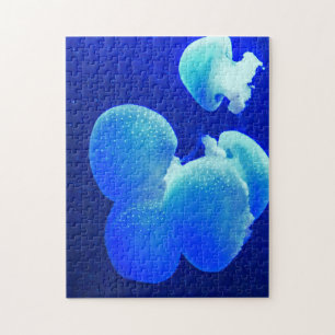 Jelly Fish. Jigsaw Puzzle