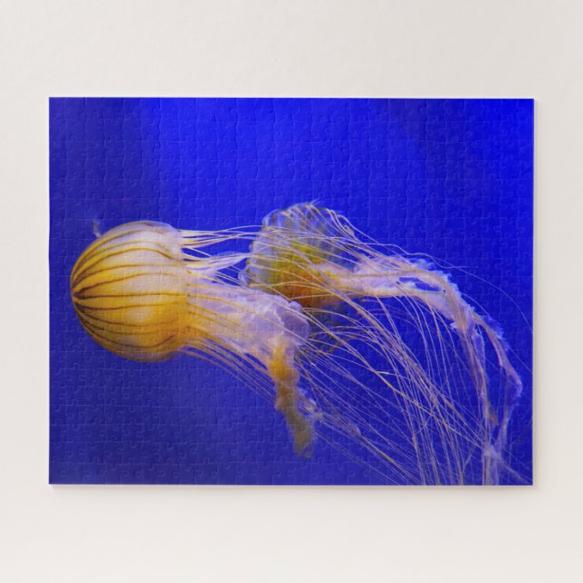 Jelly Fish Jigsaw Puzzle (Horizontal)