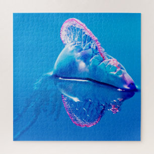Jelly Fish Portugese Man of War Jigsaw Puzzle
