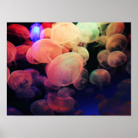 Jelly Love