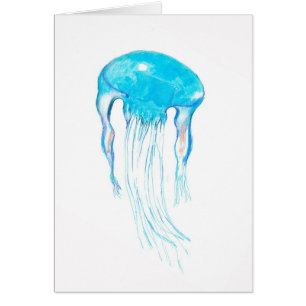 Jellyfish