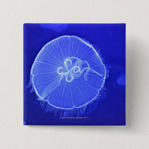 Jellyfish 15 Cm Square Badge