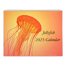 Jellyfish 2025 Calendar