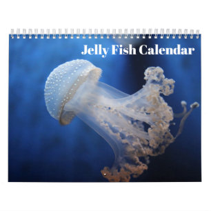Jellyfish 2027 calendar