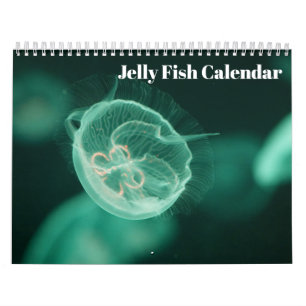 Jellyfish 2027 calendar