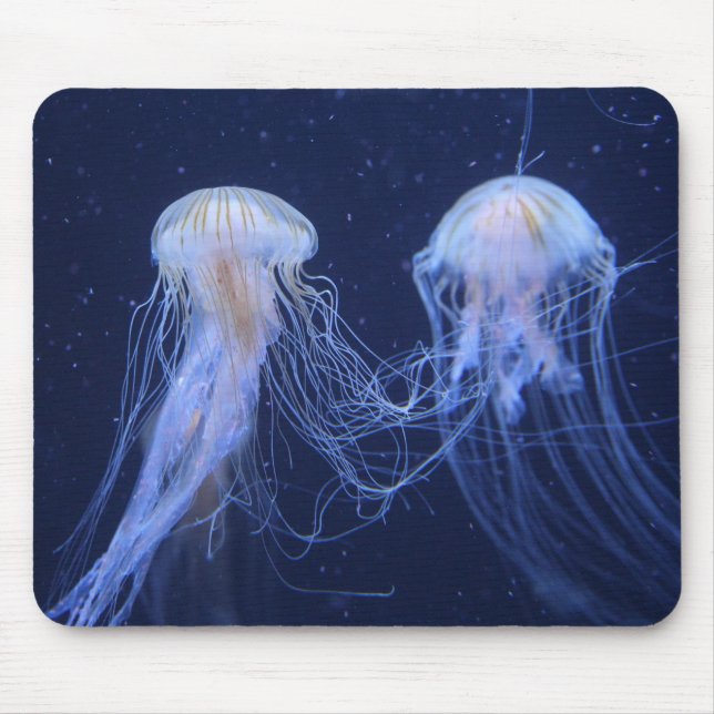 jellyfish, animal, underwater mouse pad (Front)