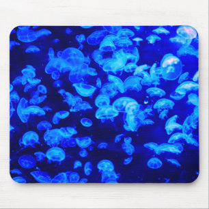 jellyfish, animal, underwater mouse pad