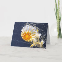 Jellyfish Aquarium Sealife All Occasion Blank