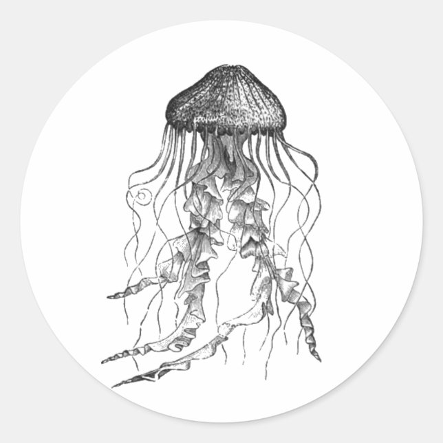 Jellyfish Black and White Pencil Drawing Sketch Classic Round Sticker (Front)
