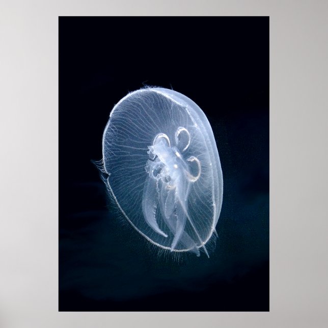 Jellyfish Bright Translucent Blue Portrait Poster (Front)