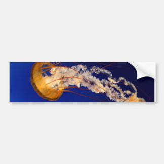 Jellyfish Bumper Sticker