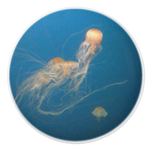 JellyFish Ceramic Knobs