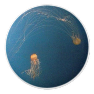 JellyFish Ceramic Knobs