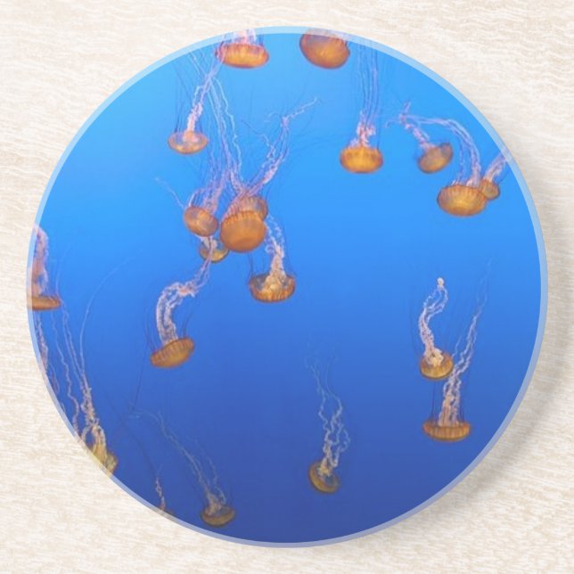 Jellyfish Coaster (Front)
