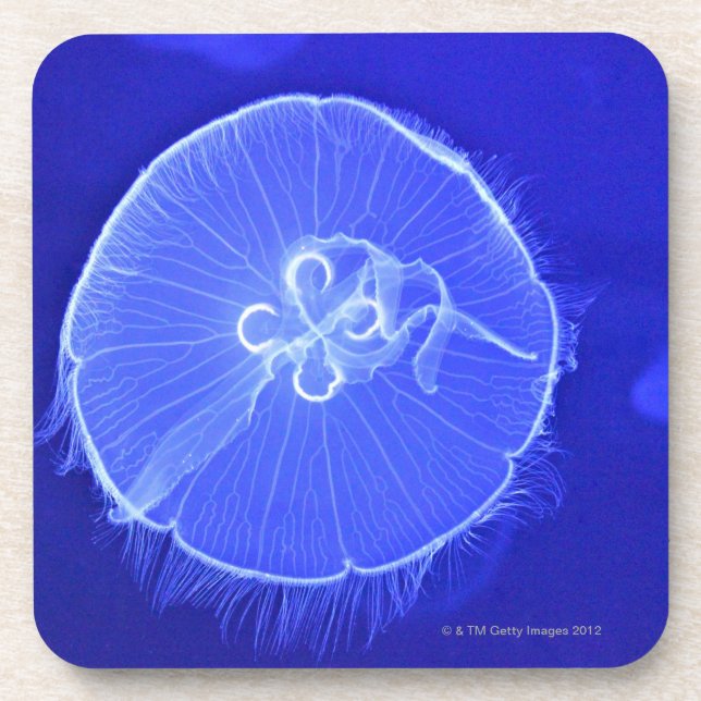 Jellyfish Coaster (Front)