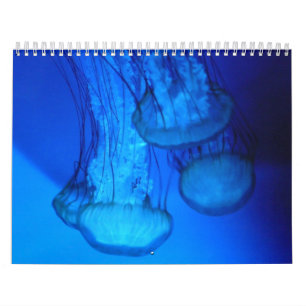 jellyfish cover calendar