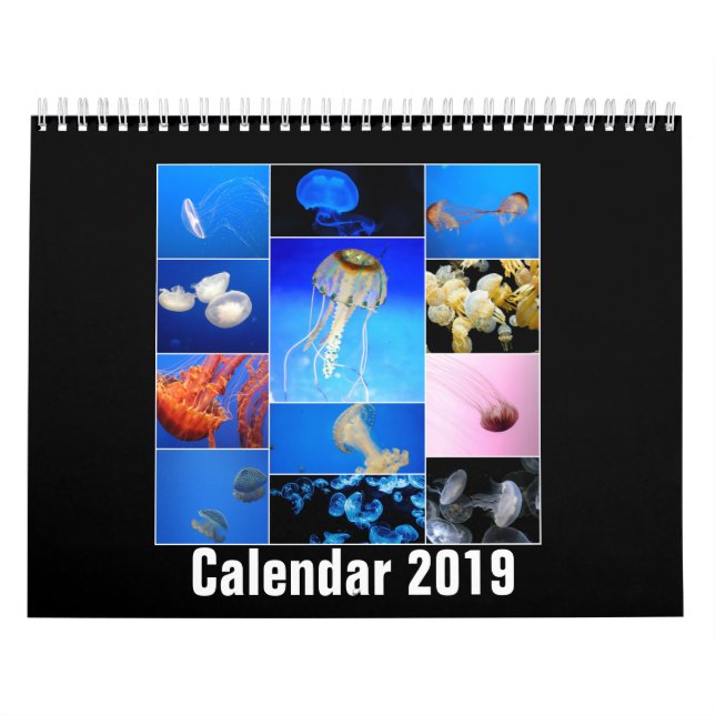 Jellyfish Custom Printed Calendar 2019 (Cover)