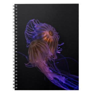 Jellyfish Dance Partners Notebook