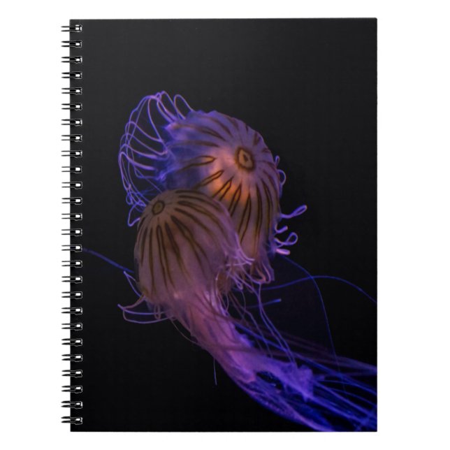 Jellyfish Dance Partners Notebook (Front)