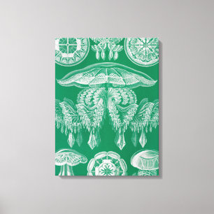 Jellyfish, Discomedusae by Ernst Haeckel Canvas Print