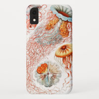 Jellyfish, Discomedusae by Ernst Haeckel