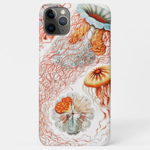 Jellyfish, Discomedusae by Ernst Haeckel iPhone 11 Pro Max Case
