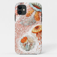Jellyfish, Discomedusae by Ernst Haeckel