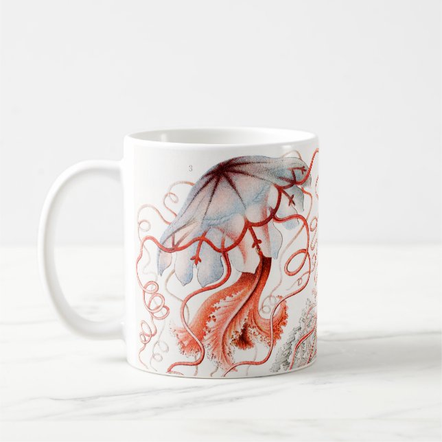 Jellyfish, Discomedusae by Ernst Haeckel Coffee Mug (Left)