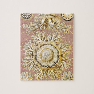 Jellyfish, Discomedusae by Ernst Haeckel Jigsaw Puzzle