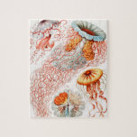 Jellyfish, Discomedusae by Ernst Haeckel Jigsaw Puzzle<br><div class="desc">Jellyfish,  Discomedusae Scheibenquallen by Ernst Haeckel Jigsaw Puzzle.</div>