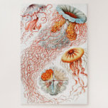 Jellyfish, Discomedusae by Ernst Haeckel Jigsaw Puzzle<br><div class="desc">Jellyfish,  Discomedusae Scheibenquallen by Ernst Haeckel Jigsaw Puzzle.</div>