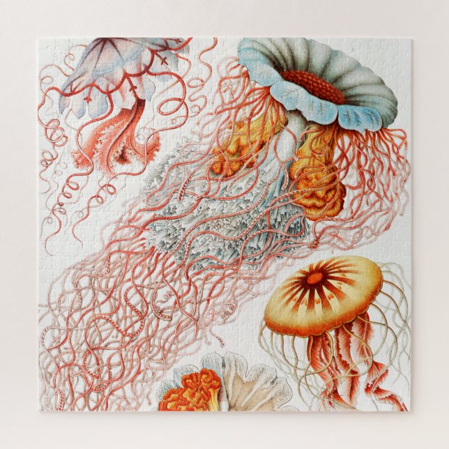 Jellyfish, Discomedusae by Ernst Haeckel Jigsaw Puzzle (Vertical)