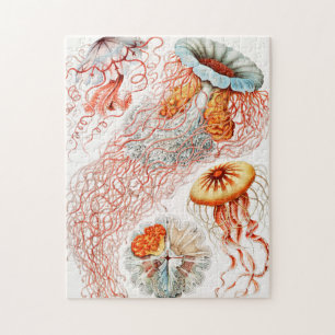 Jellyfish, Discomedusae by Ernst Haeckel Jigsaw Puzzle
