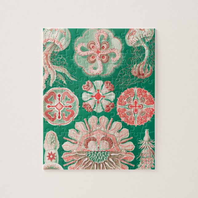 Jellyfish, Discomedusae by Ernst Haeckel Jigsaw Puzzle (Vertical)