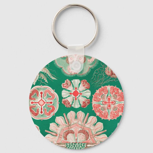 Jellyfish, Discomedusae by Ernst Haeckel Key Ring (Front)