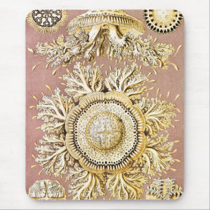 Jellyfish, Discomedusae by Ernst Haeckel Mouse Pad