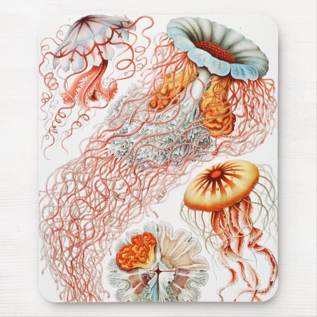 Jellyfish, Discomedusae by Ernst Haeckel Mouse Pad (Front)