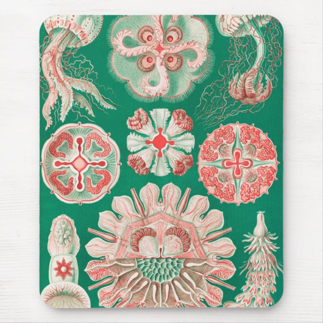 Jellyfish, Discomedusae by Ernst Haeckel Mouse Pad (Front)