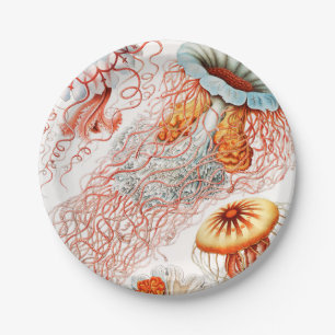 Jellyfish, Discomedusae by Ernst Haeckel Paper Plate