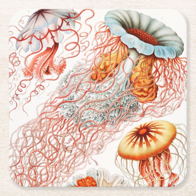 Jellyfish, Discomedusae by Ernst Haeckel Square Paper Coaster (Front)