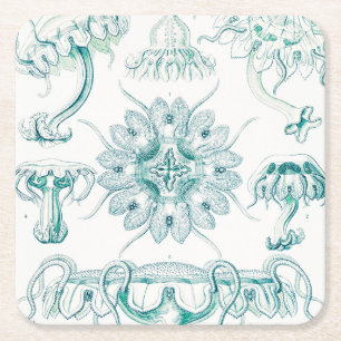 Jellyfish, Discomedusae by Ernst Haeckel Square Paper Coaster