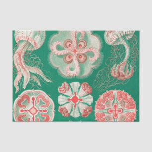 Jellyfish, Discomedusae by Ernst Haeckel Tissue Paper