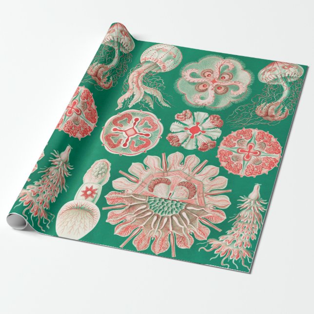 Jellyfish, Discomedusae by Ernst Haeckel Wrapping Paper (Unrolled)