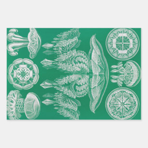 Jellyfish, Discomedusae by Ernst Haeckel Wrapping Paper Sheet