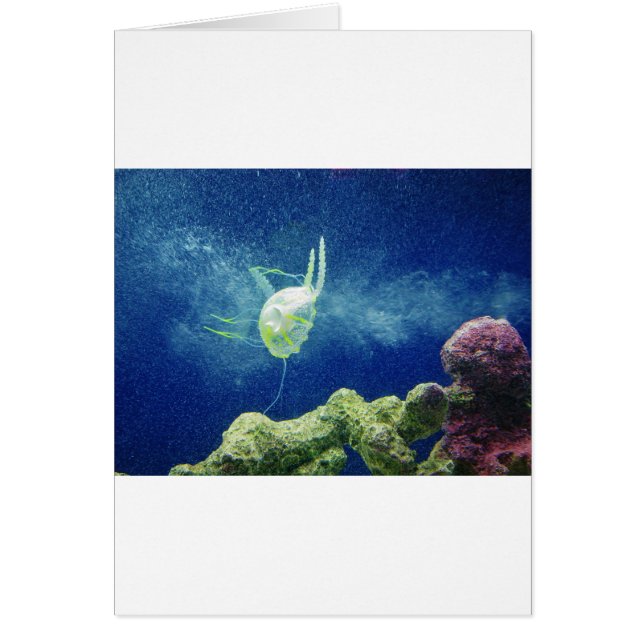 jellyfish fish custom personalise Anniversaries (Front)