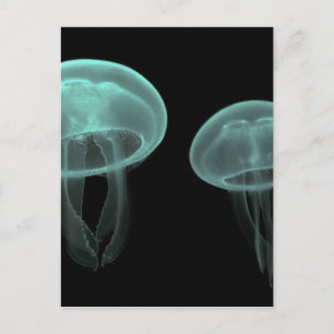 jellyfish fish custom personalise Anniversaries Postcard