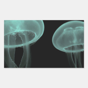 jellyfish fish custom personalise Anniversaries Rectangular Sticker